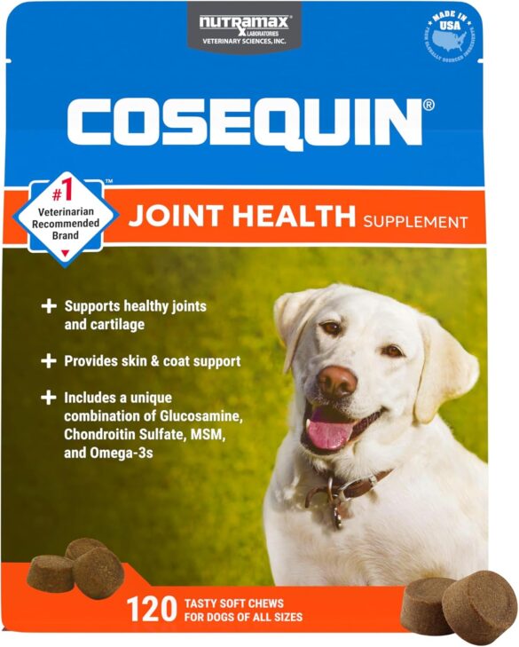 Dog Supplements