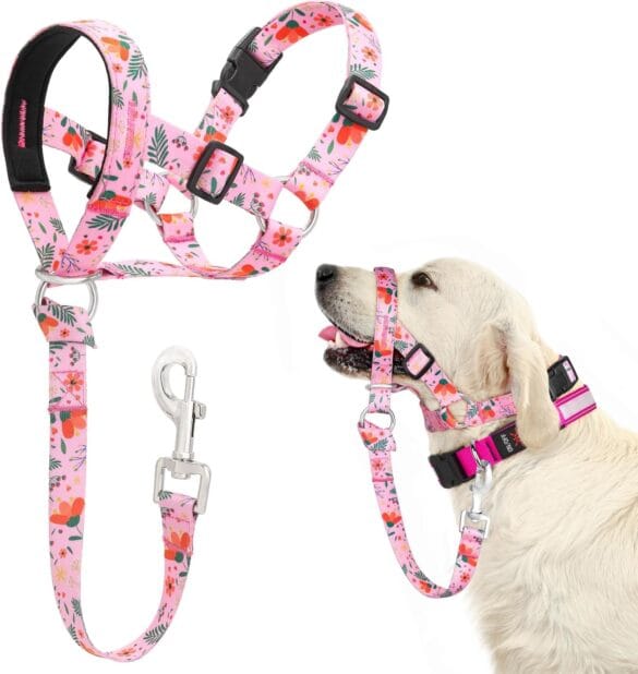 Dog Training Aids