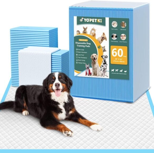 Dog Training Aids