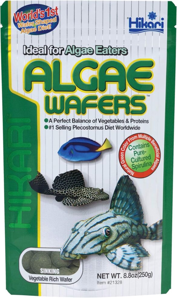 Fish Food