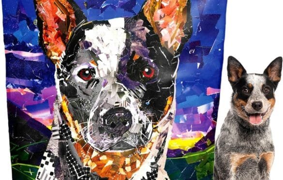 Nutro Wholesome Essentials Dog Food wowwantscom Dog food