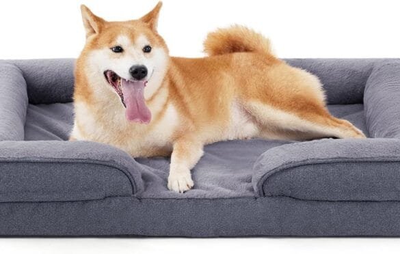 Comfortable Pet Beds and Blankets on Amazon