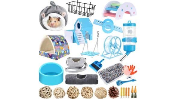 Best Pig Care Tools and Accessories